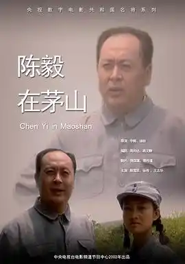 陈毅在茅山 - 电影战争片免费高清电影在线观看