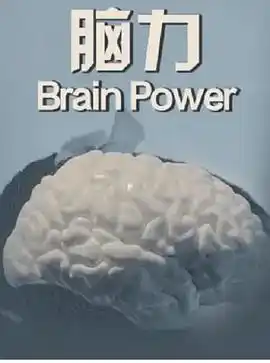 脑力 - 综艺欧美综艺免费高清电影在线观看
